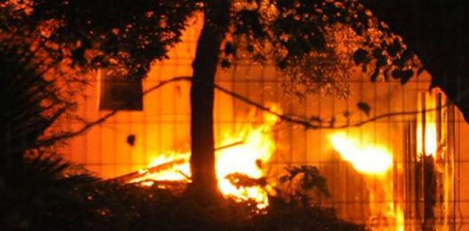 Fransız Kültür Merkezi’nin bahçesinde yangın