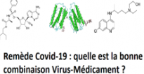 Remède Covid-19 : quelle est la bonne combinaison virus-médicament ?