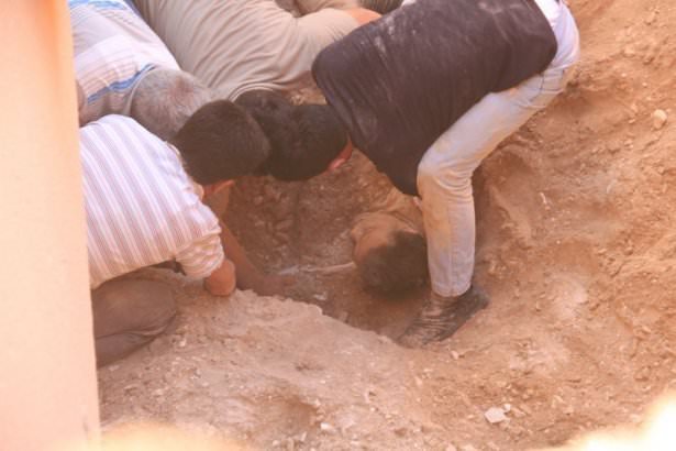 evin_bahcesinde_diri_diri_gomuldu_1404419522_7453