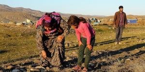 Suriyeli sığınmacılar “gök taşı avı”na çıktı