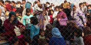 Danimarkalı gönüllüler sığınmacıları bedava taşıyacak