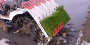 Japonlar sonunda bunu da yaptı