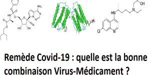 Remède Covid-19 : quelle est la bonne combinaison virus-médicament ?