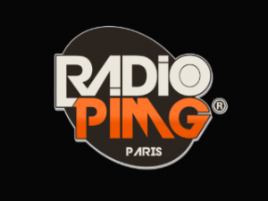 LOGO PI-MG RADIO IMPARATOR