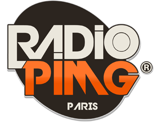 logo pimg (3)